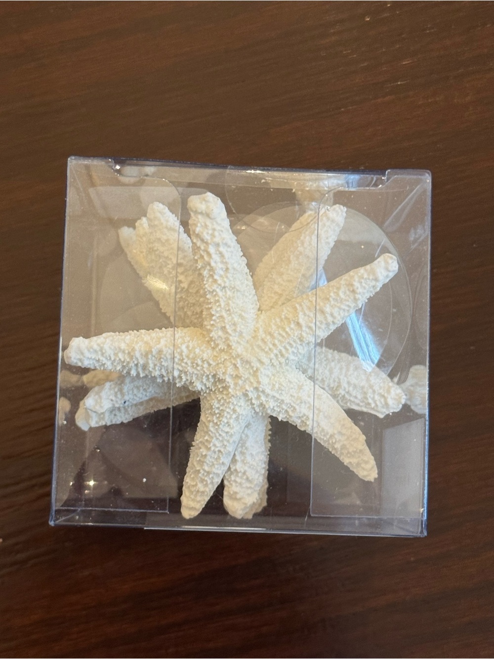 White Decorative Starfish